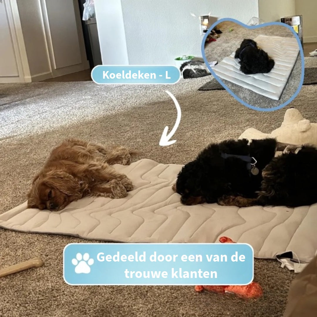 Innovatief Verkoelend Deken voor Huisdieren