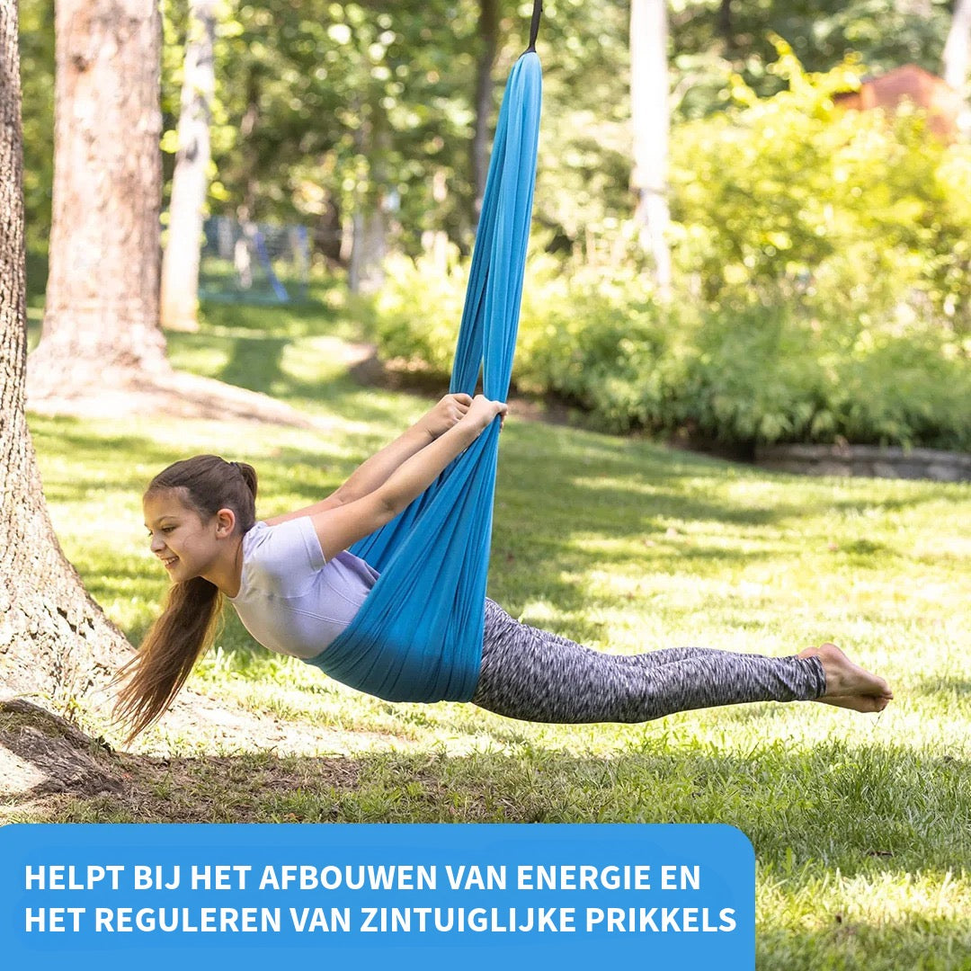 Therapieschommel