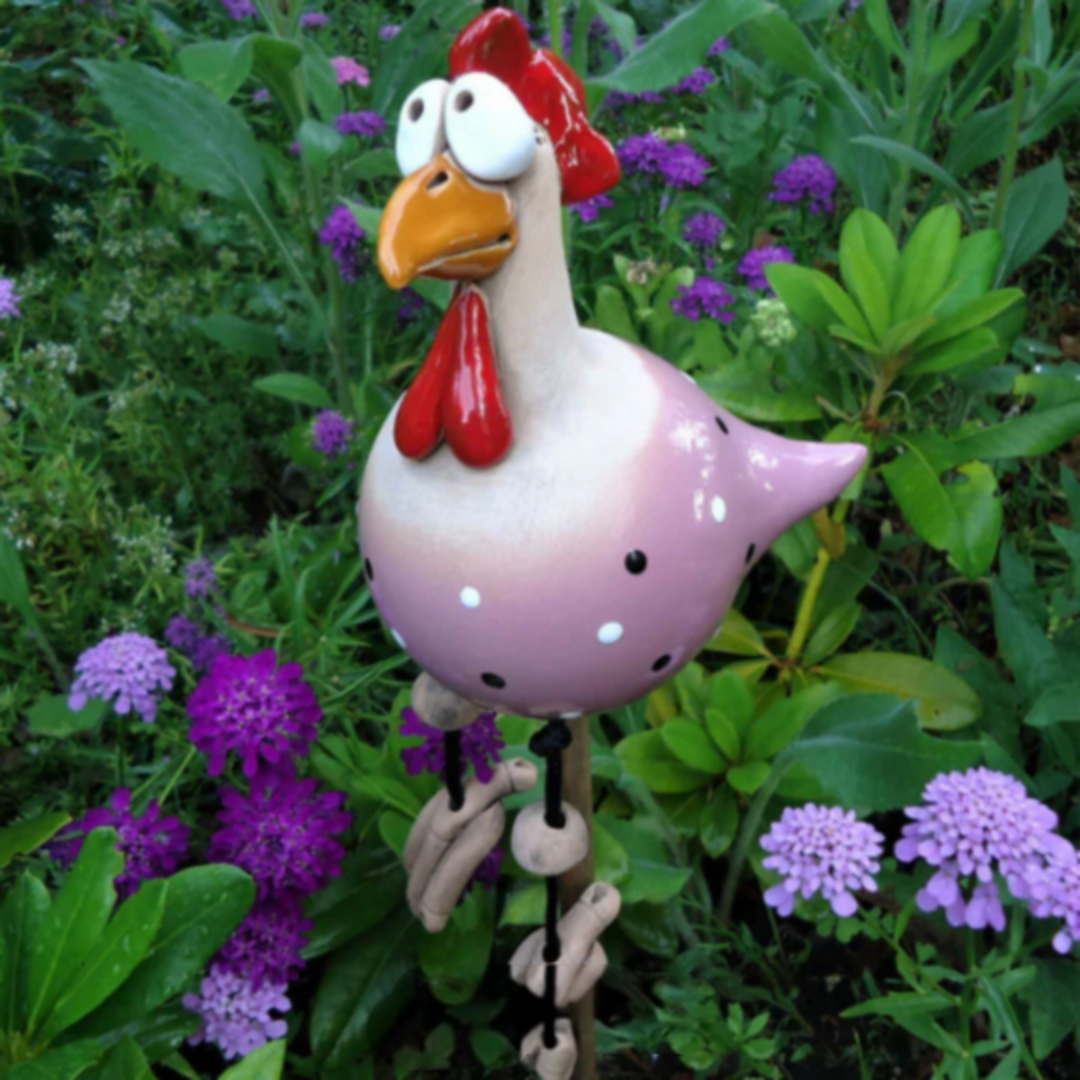 Decoratieve Tuinkippen