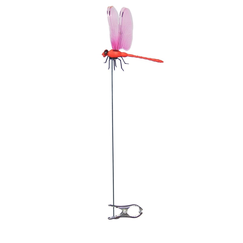 Stijlvolle Libelle Muggenbestrijder