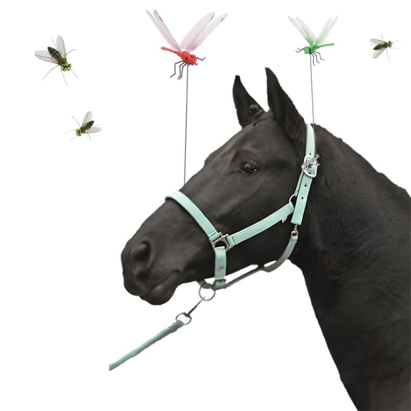 Stijlvolle Libelle Muggenbestrijder