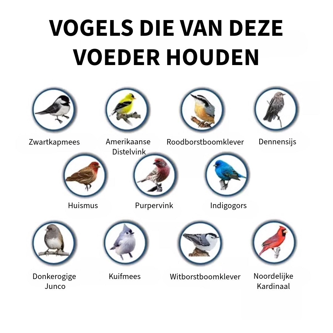 Anti-Eekhoorn Vogelvoeder