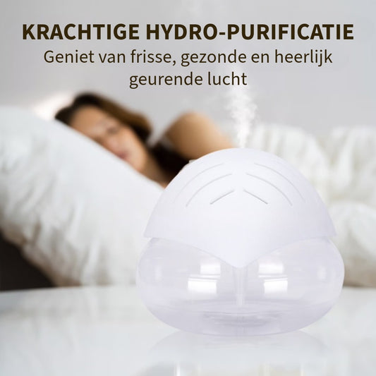 Professionele Luchtreiniger