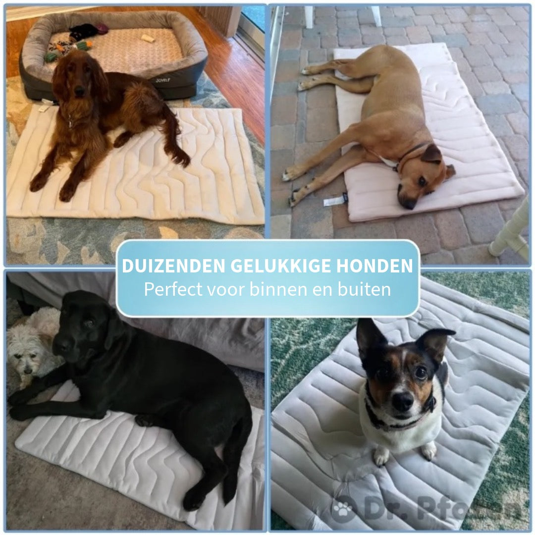 Innovatief Verkoelend Deken voor Huisdieren