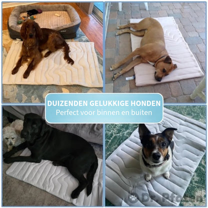 Innovatief Verkoelend Deken voor Huisdieren