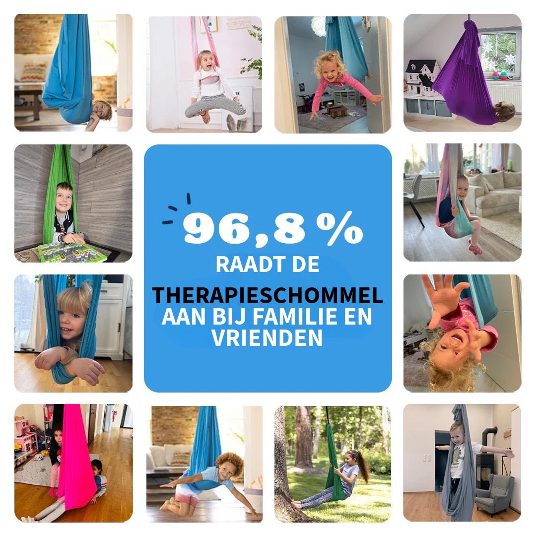 Therapieschommel