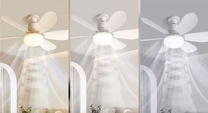 Ventilator Lamp