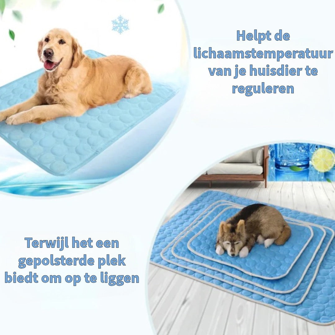Innovatief Verkoelend Deken voor Huisdieren