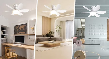 Ventilator Lamp