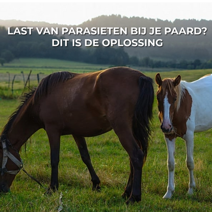 Ivermectine-Pasta voor Paarden